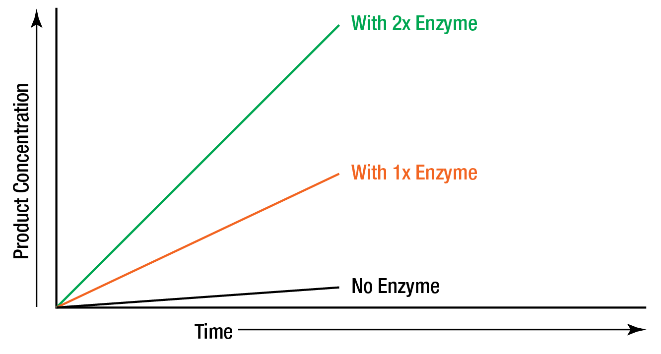 Enzyme Figure 4