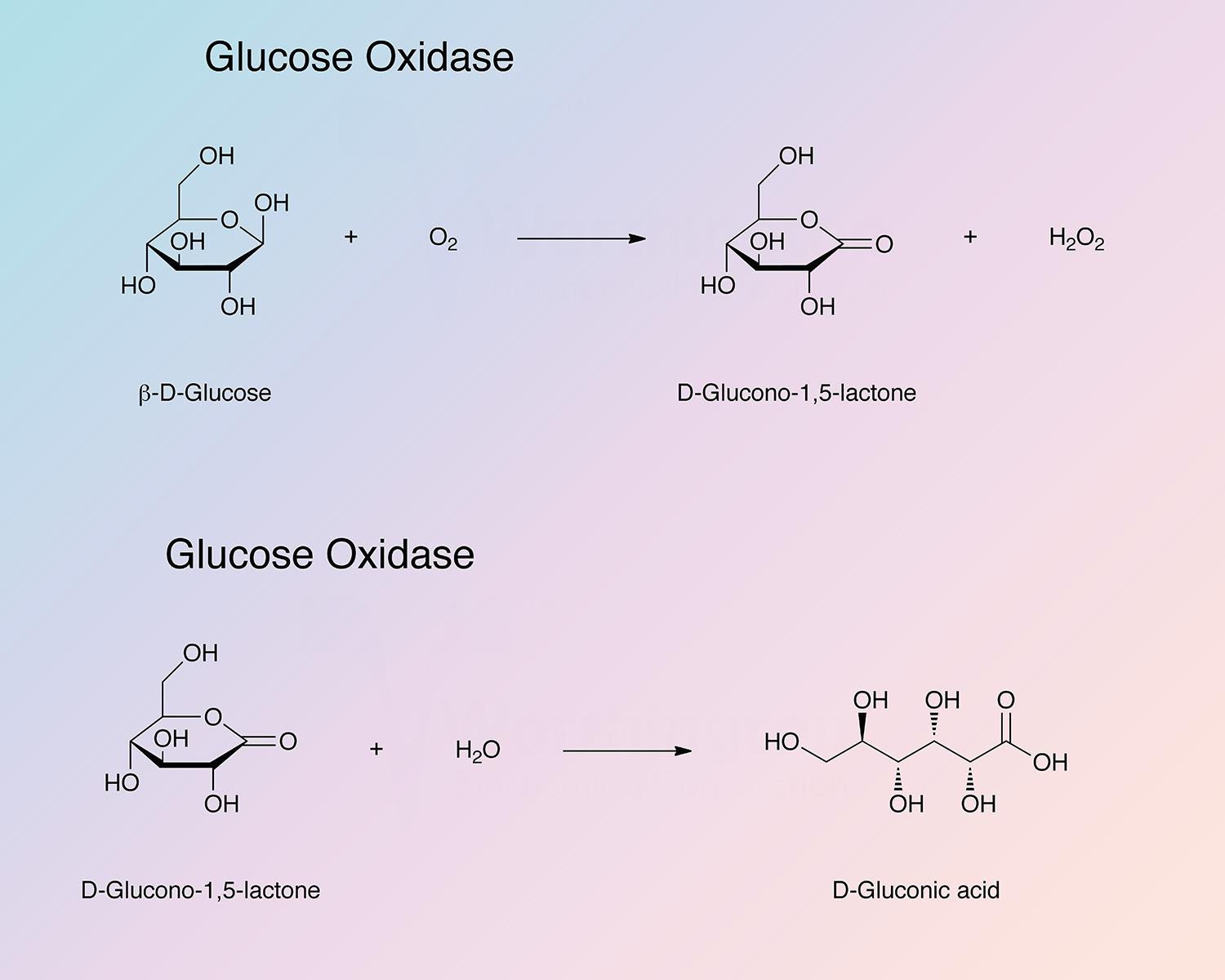 Glucose Oxidase Enzymatic Reaction