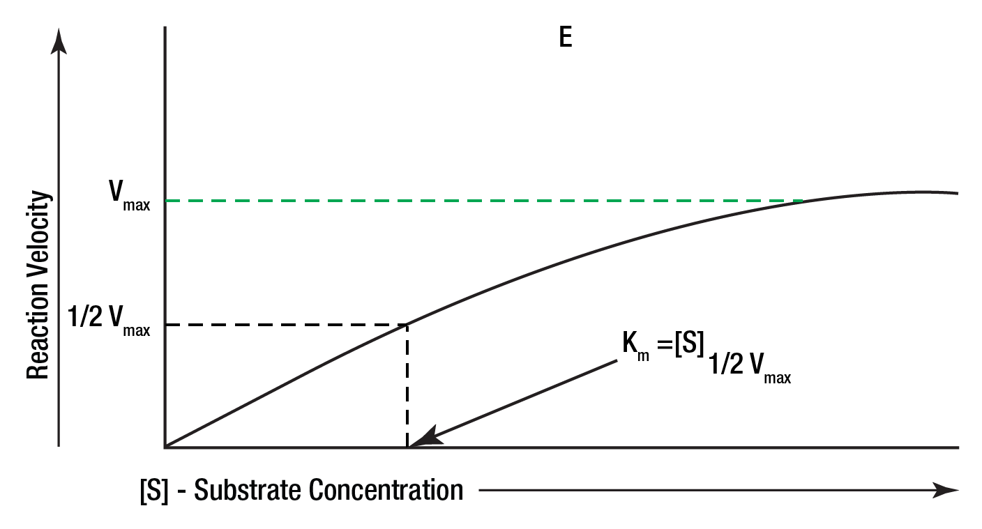 Enzyme Figure 8