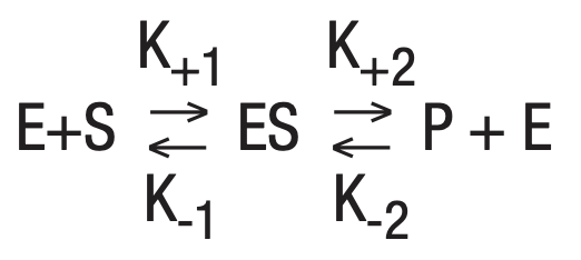 Intro To Enzymes Figure