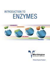 Introduction to Enzymes