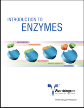 Into to Enzymes 