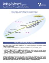 Enzyme Digestion Flyer