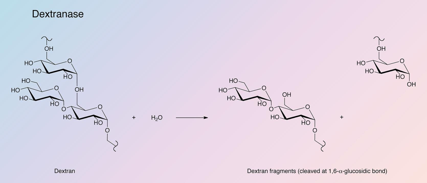 Dextranase Enzymatic Reaction