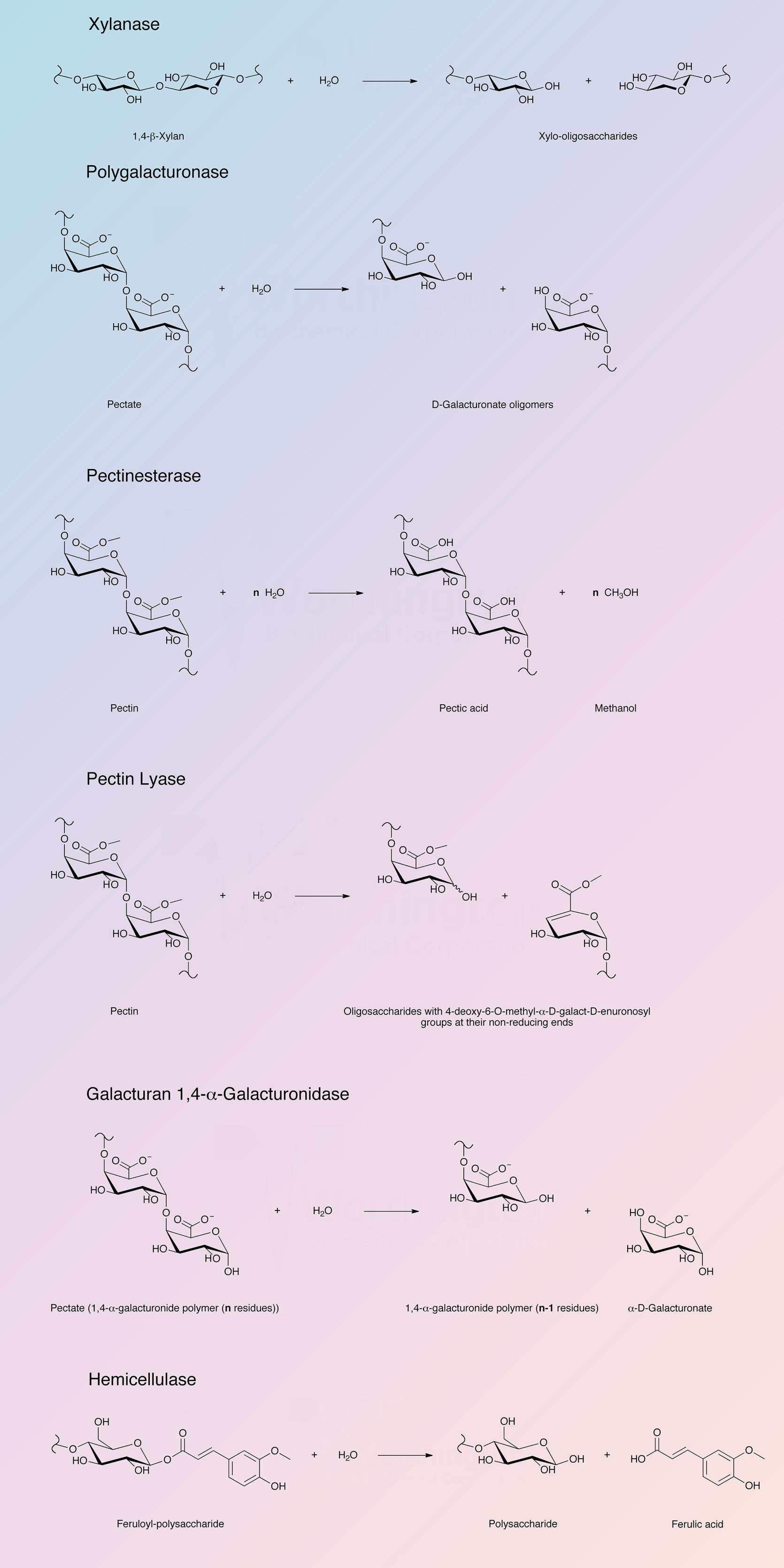 Pectinase Enzymatic Reaction